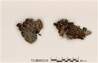 藏品(成長梅衣)的圖片